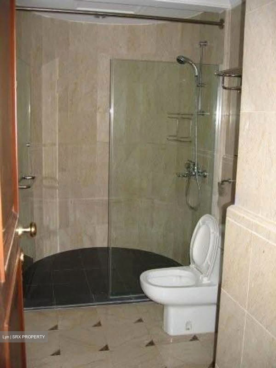Valley Park (D10), Condominium #629831411